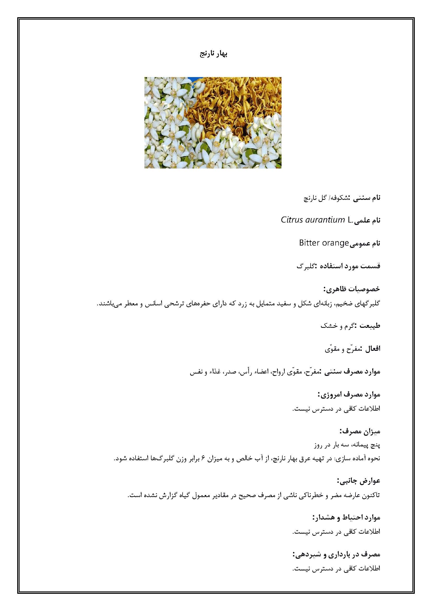 بهار نارنج