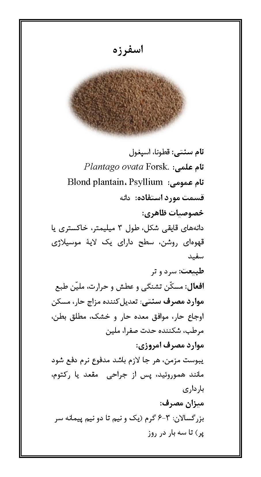 اسفرزه