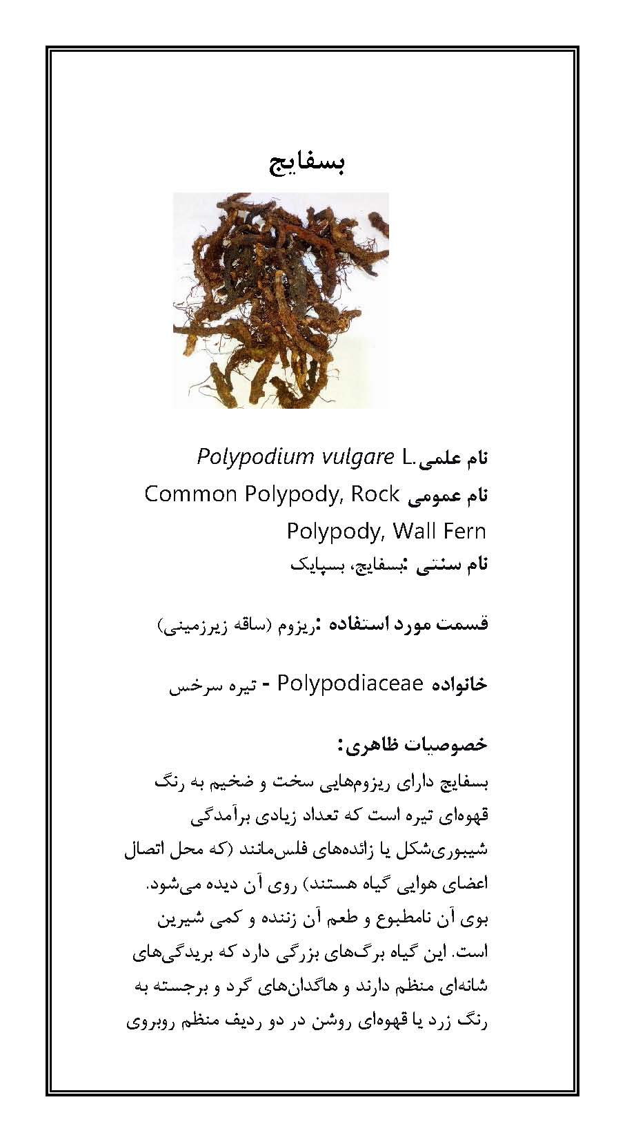 بسفایج