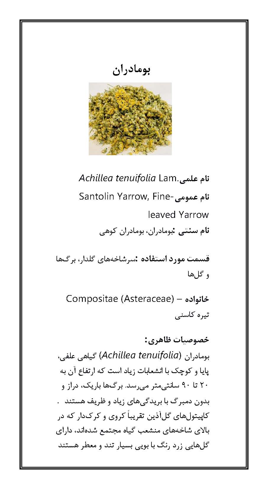 بومادران